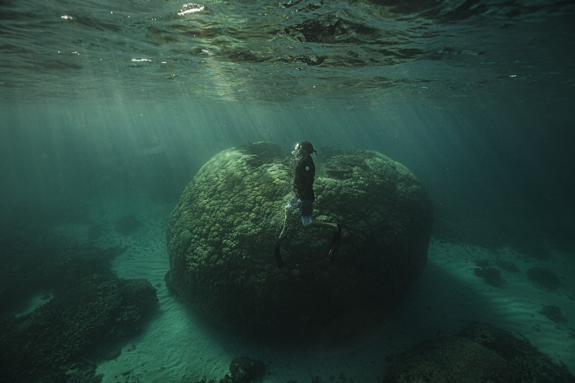 Underwater Photography | Mark Lehn