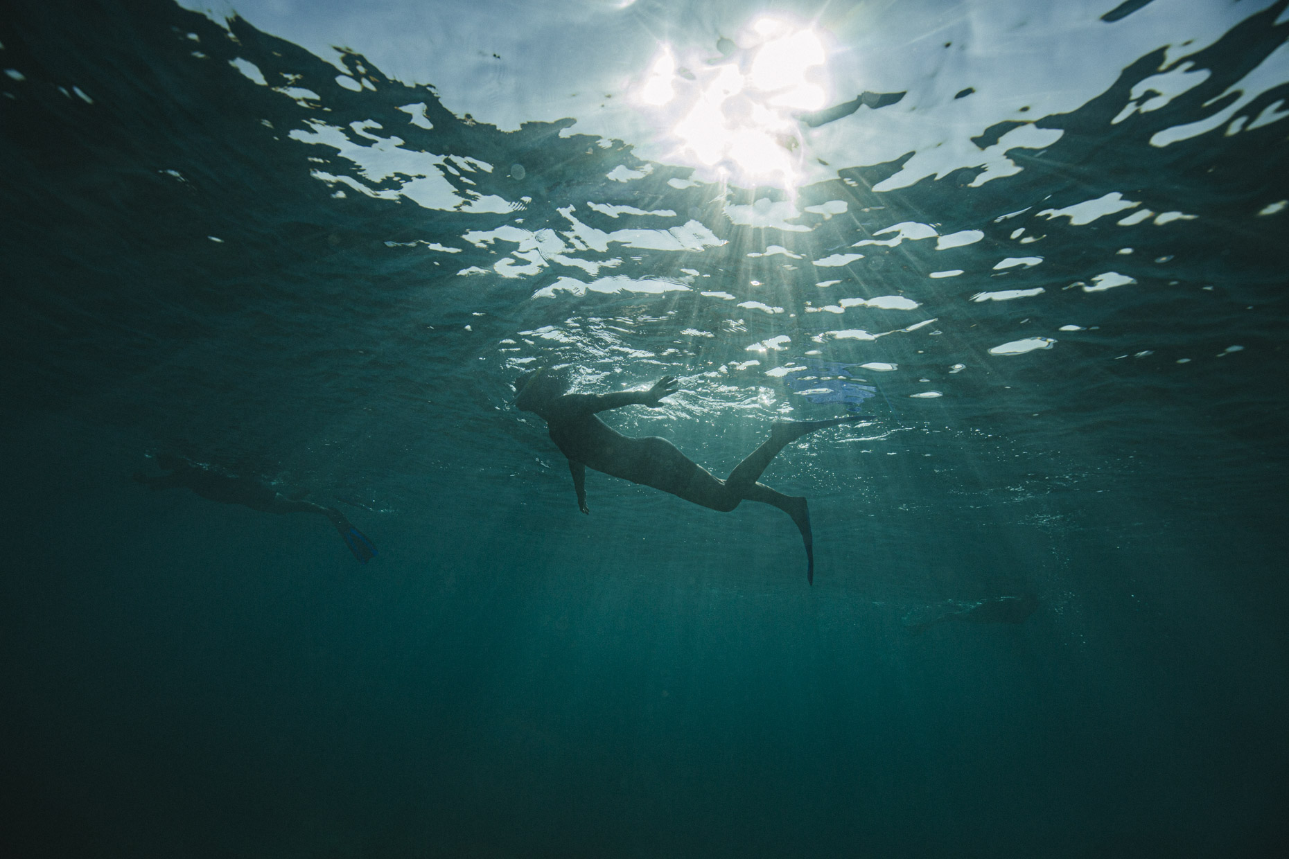 Underwater Photographer | Mark Lehn 