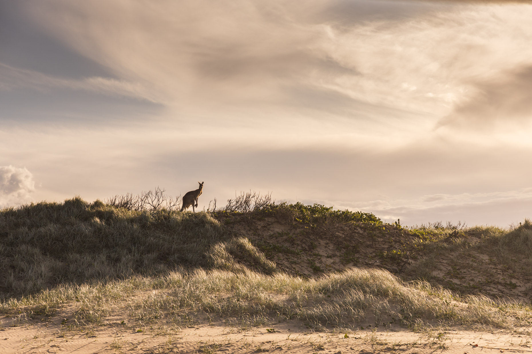 tourismaustralia-4835